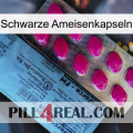 Black Ant Capsules 35